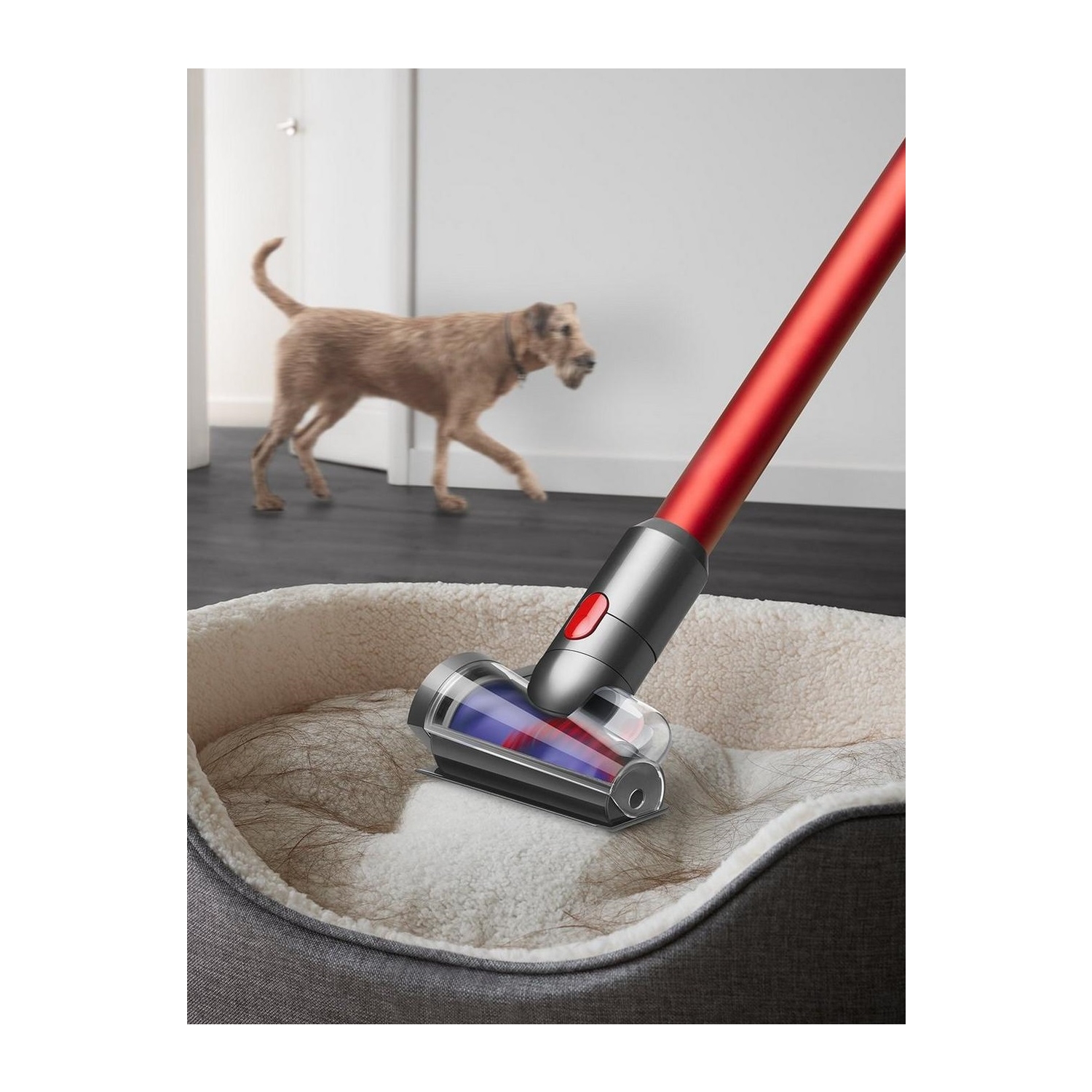 Dyson Outsize Absolute Cordless Vaccuum Cleaner - 120 Minutes Run Time - 2